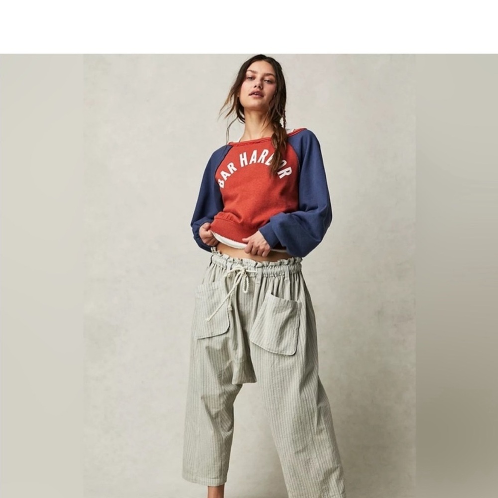 FREE PEOPLE Runyon Harem Oversized Stripe Pants - Sky Combo - Picture 4 of 7